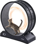 Cat Exercise Wheel 31.5 in Large Running Wheel - Quiet, Stable Workout