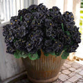 Artificial Geranium Flowers for Outdoors 12 Bundles - Realistic UV