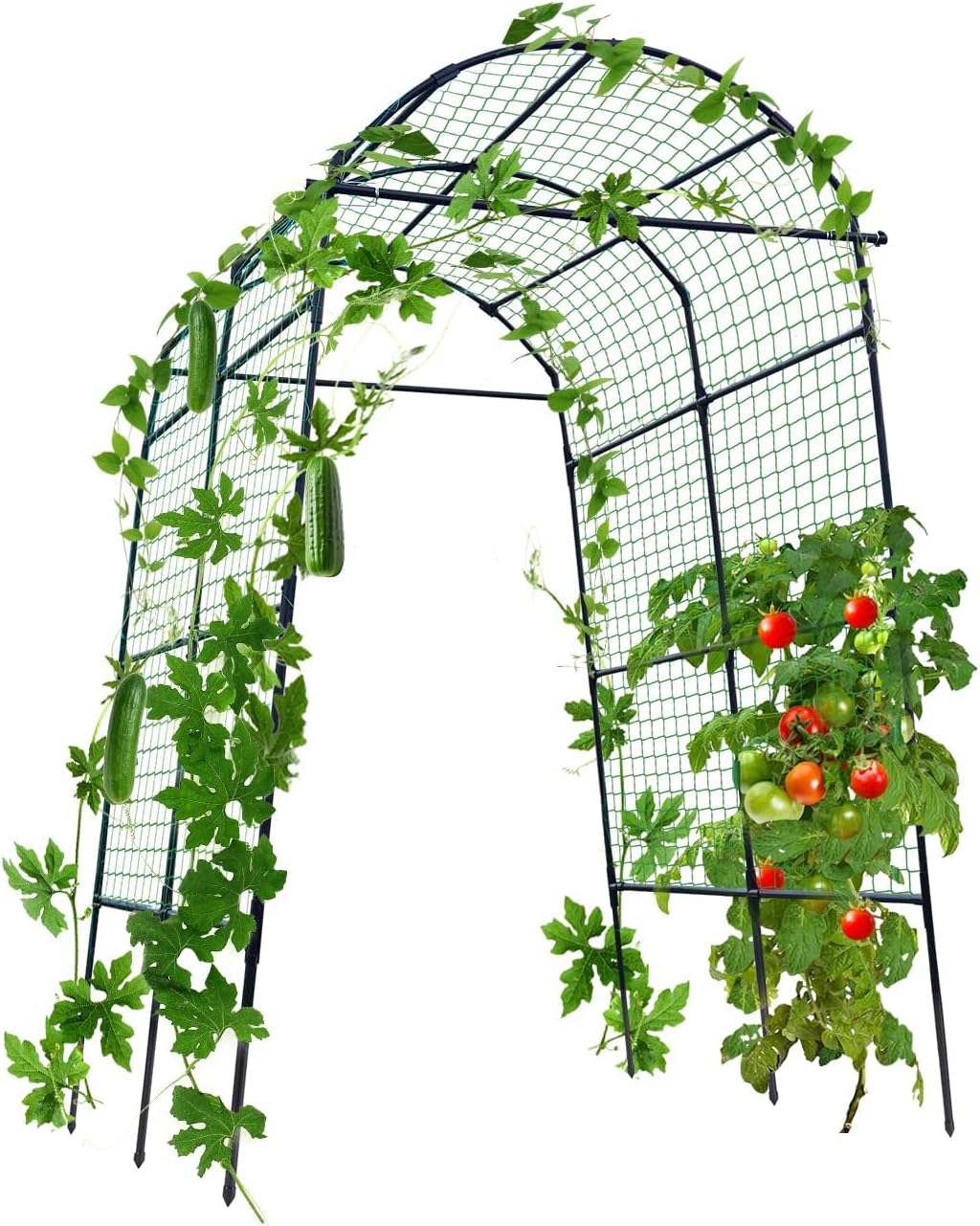 Garden Arch Trellis for Climbing Plants, 7.8 ft Tall Support