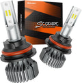 SEALIGHT 9004/HB1 Fog Bulb 32000LM Pure White - Ultra Bright, Fanless