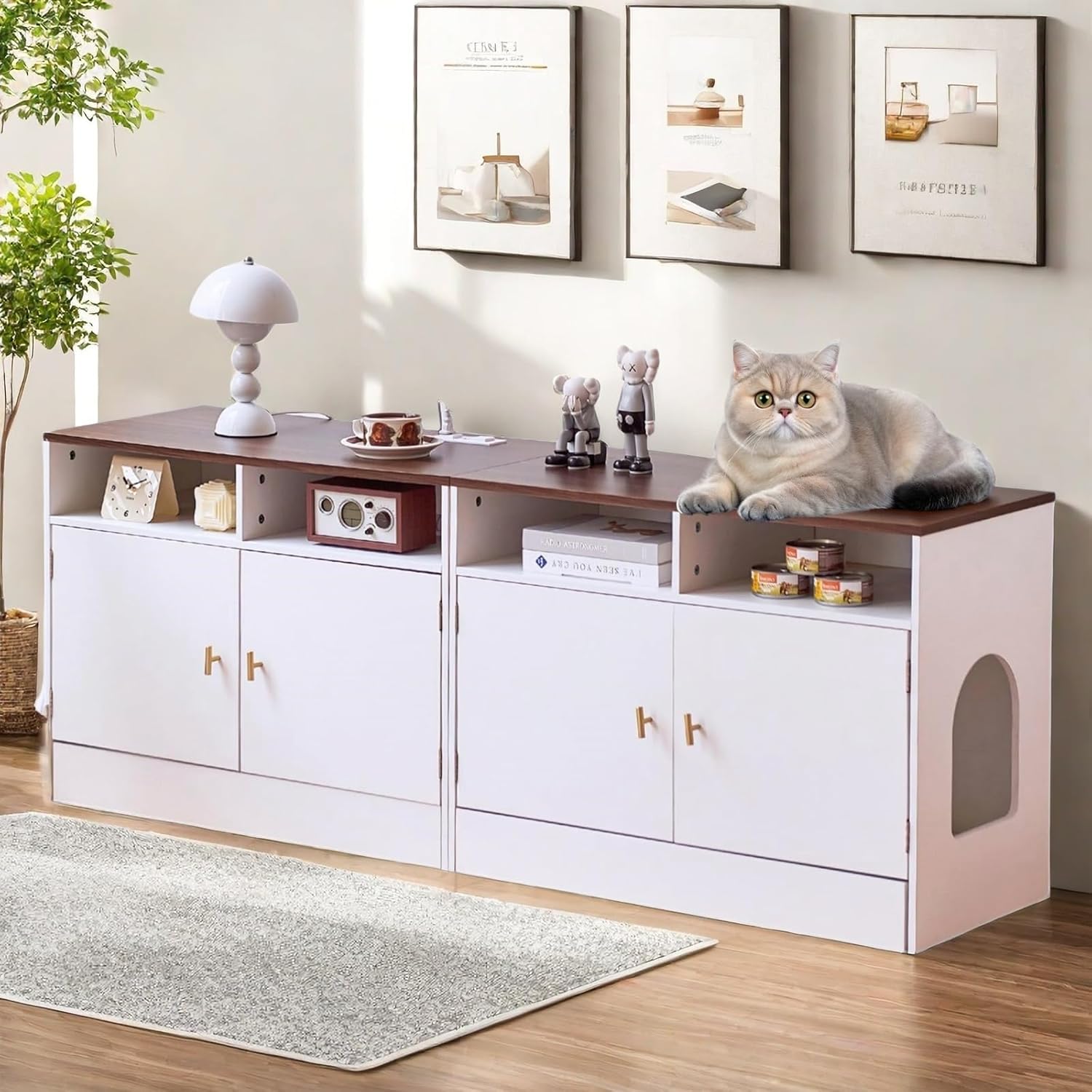 Cat Litter Box Enclosure for 2 Cats with Storage & Outlet