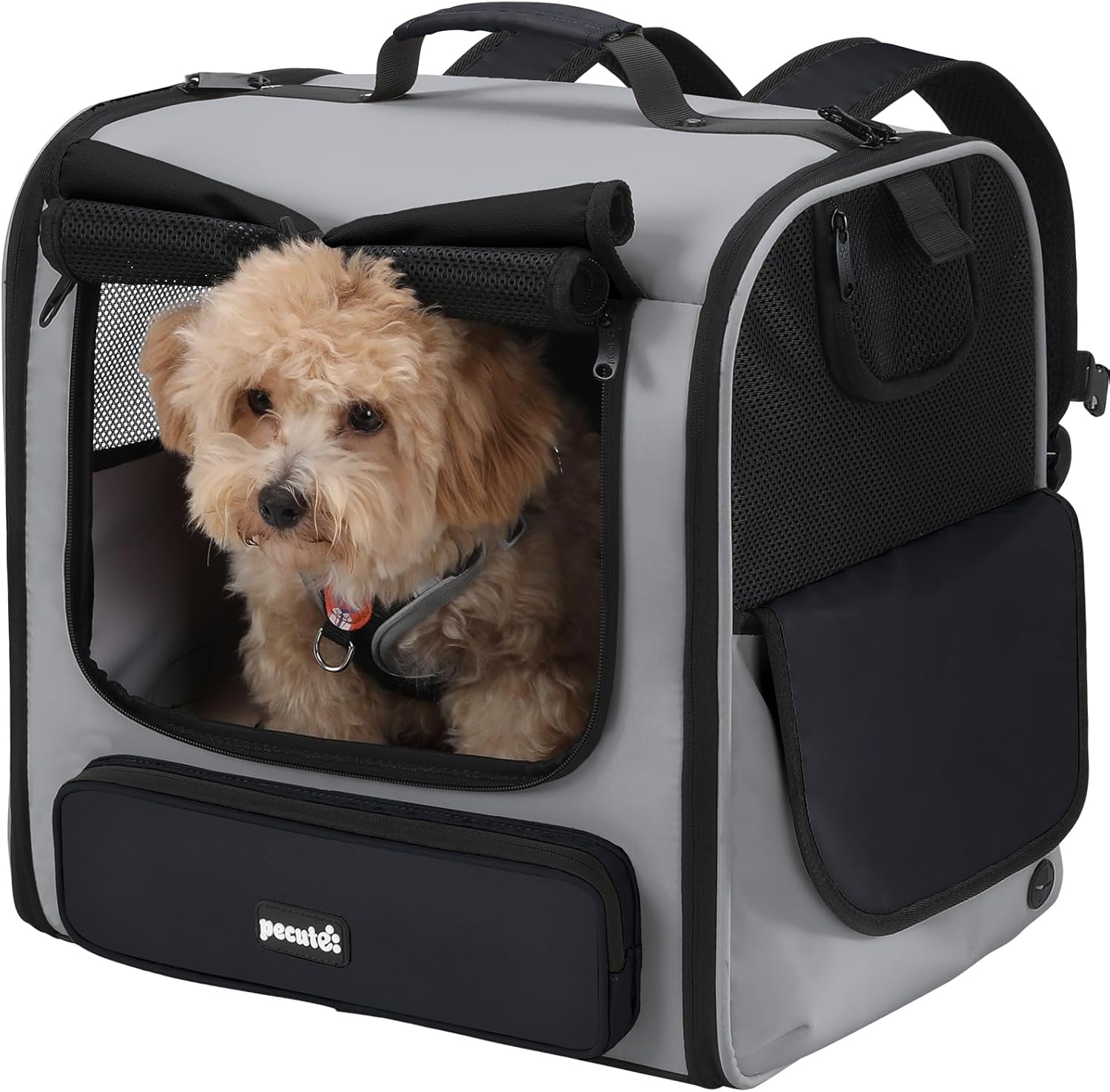 Pecute Cat Carrier Backpack for Hiking and Camping Adventures
