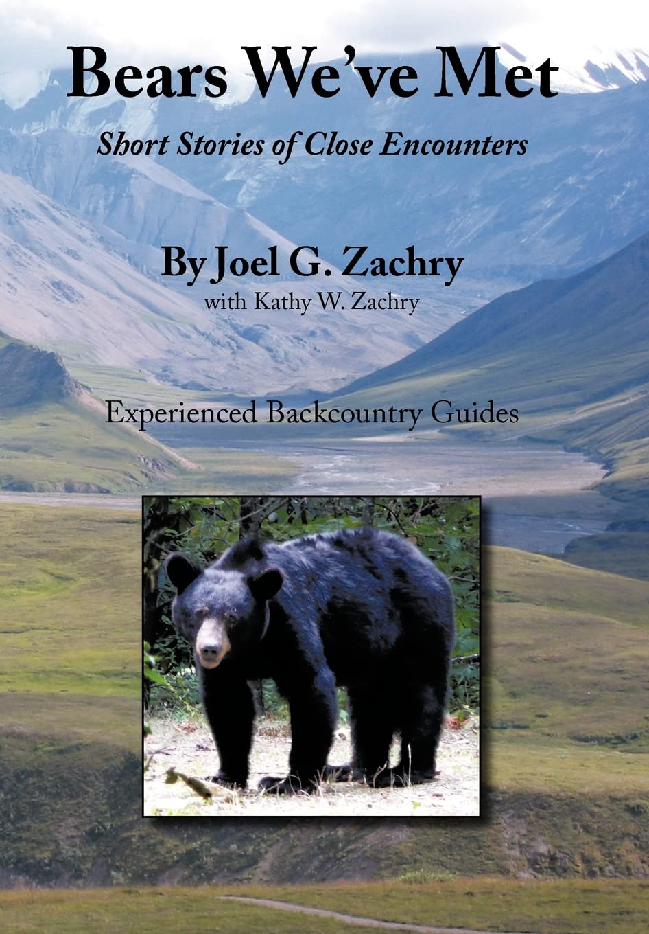 Bears We've Met: Short Stories of Close Encounters Review