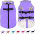 Dogcheer Waterproof Dog Coat with Harness for Winter Comfort