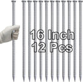 16 Inch Rebar Stakes for Heavy Duty Asphalt Anchoring Spikes