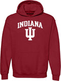 UGP Campus Apparel NCAA Team Color Arch Logo Hoodie (Style 434H)
