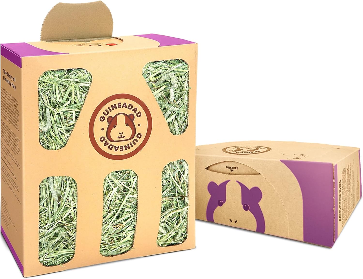 GuineaDad Orchard Hay Box 3 Pack for Healthy Guinea Pigs