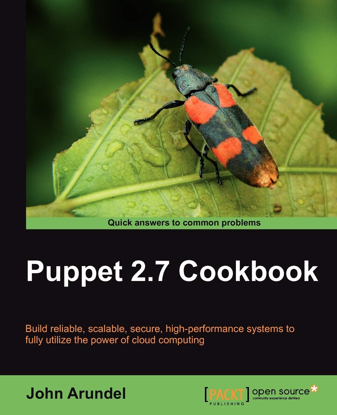 Puppet 2.7 Cookbook: Mastering Configuration Management Skills