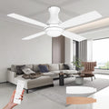 Consciot Ceiling Fan With Lights 52 in Low Profile - Quiet DC Motor