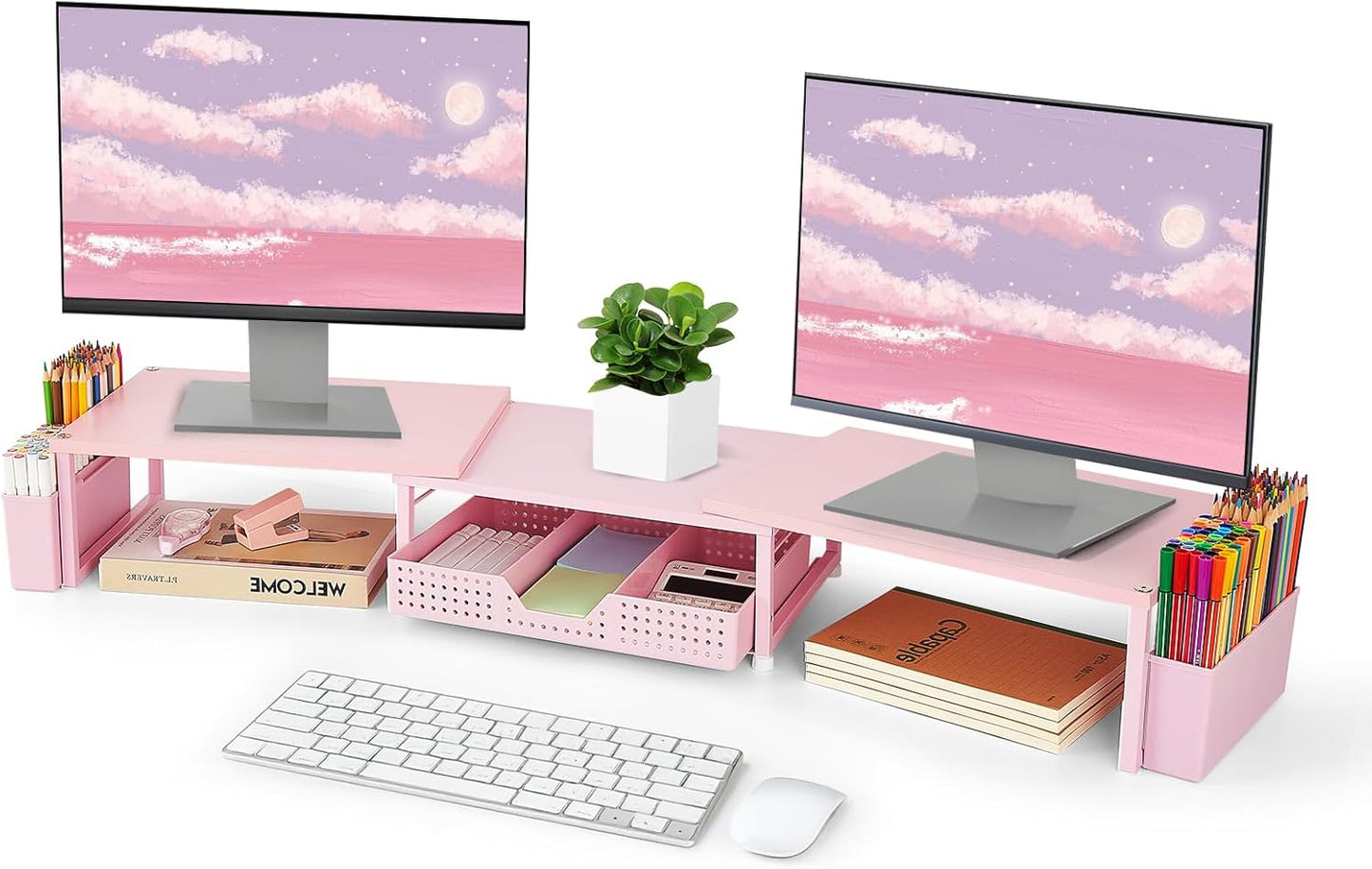 Desk Dual Monitor Stand Riser for Workspace Organization