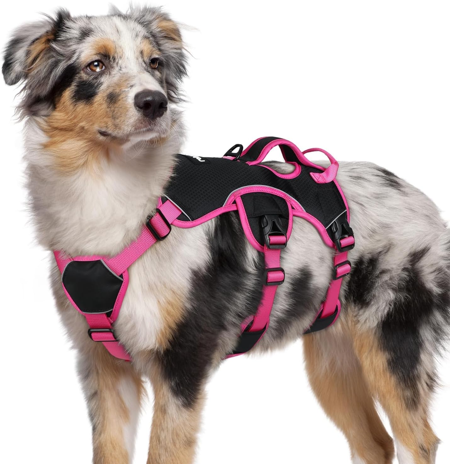 Escape Proof Dog Harness for Medium Dogs - Padded No Pull Vest