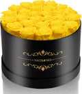 27 Piece Forever Preserved Roses in a Box for Romantic Gifts