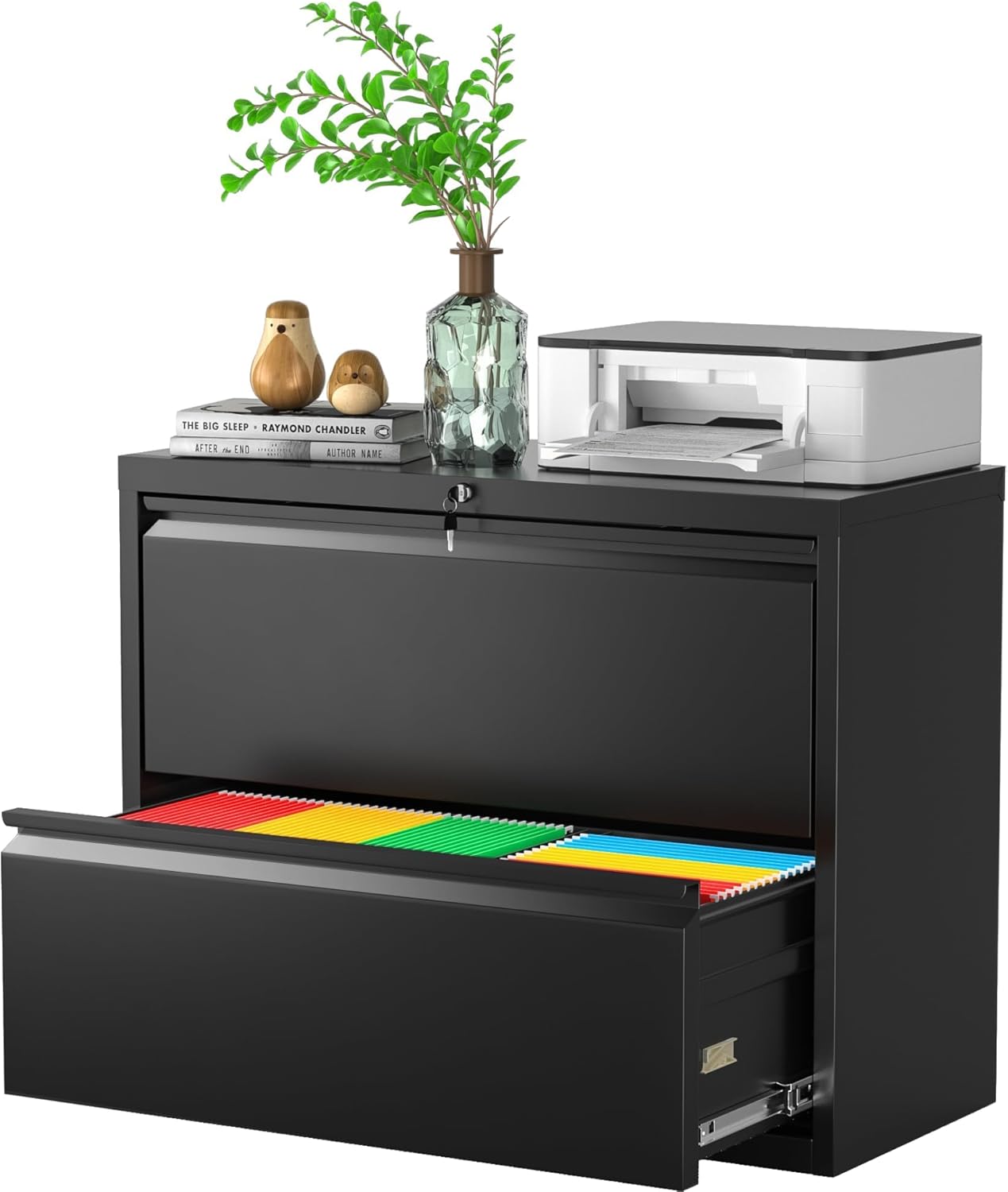 Greenvelly Lateral File Cabinet: Secure 2 Drawer Storage Solution