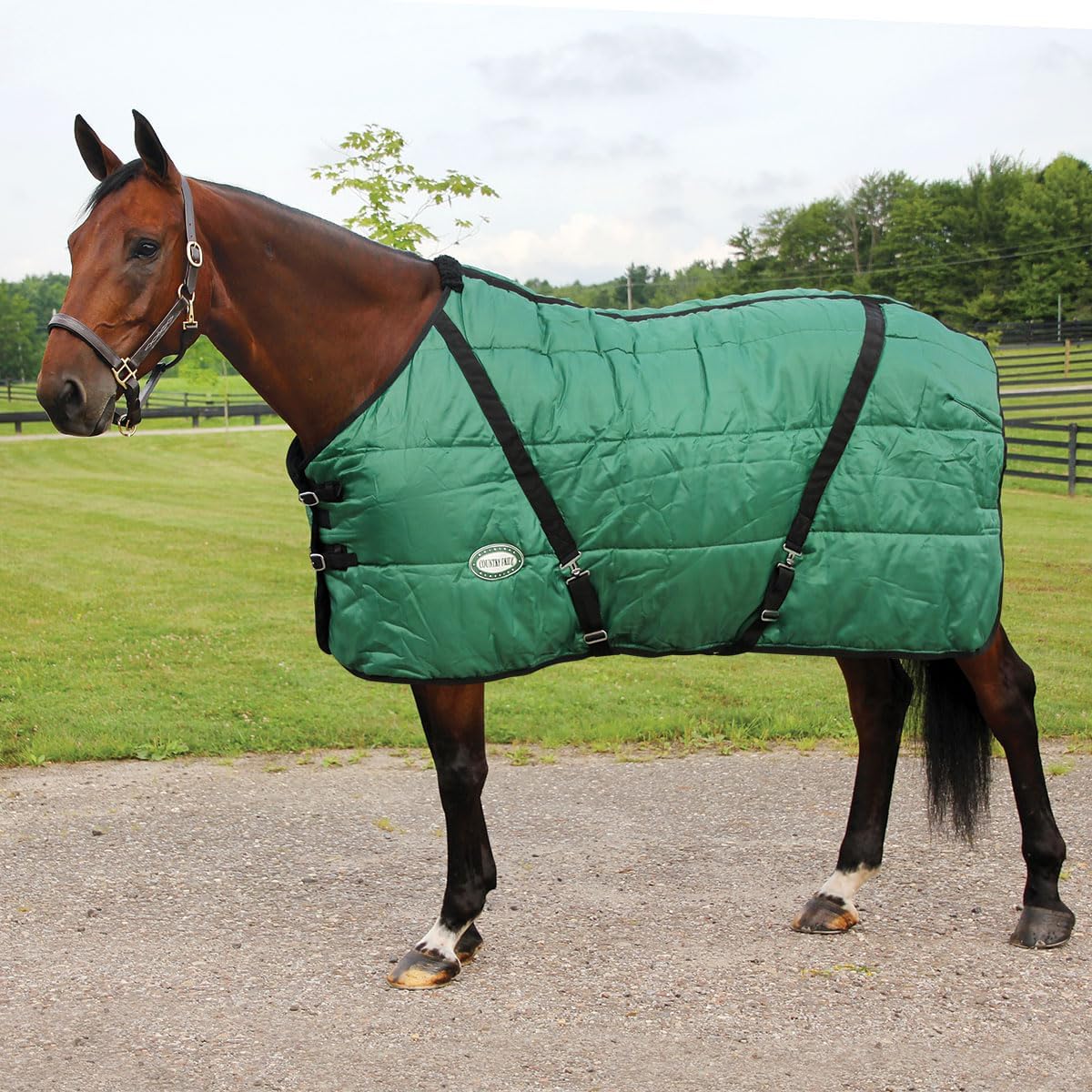 Country Pride Channel Quilt Stable Blanket for Comfort