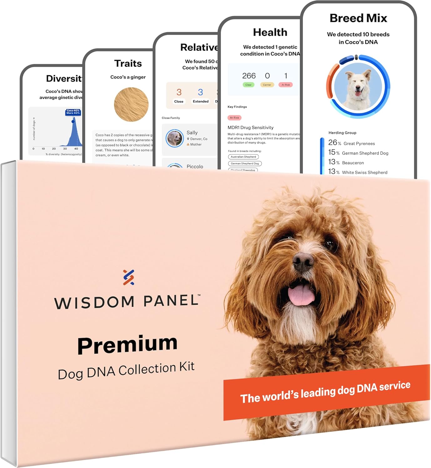 Wisdom Panel Premium Dog DNA Kit for Health and Breed Insights