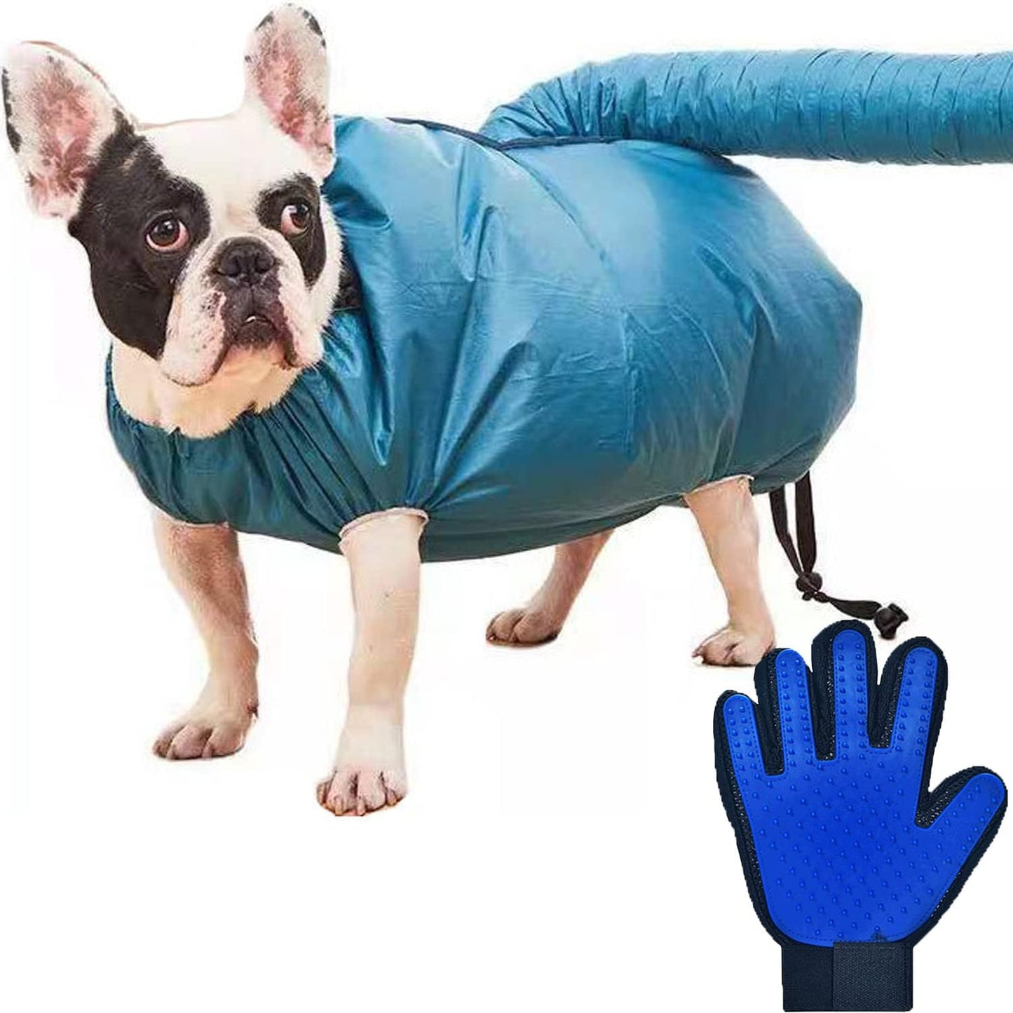 Quick Drying Pet Bag + Grooming Gloves XL