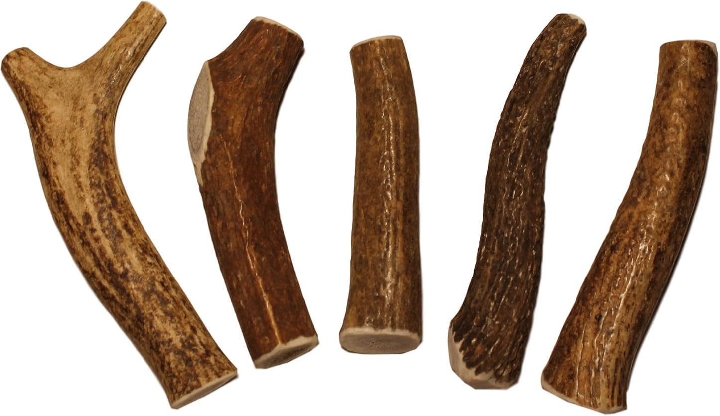 Premium Grade Elk Antlers for Dogs - Small Whole 5 Pack