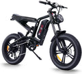 E2/K20 Electric Bike for Adults - 750W Powerful Fat Tire Ebike