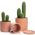 D'vine Dev Terracotta Planter Pots Set of 3 - Classic Handcrafted Look