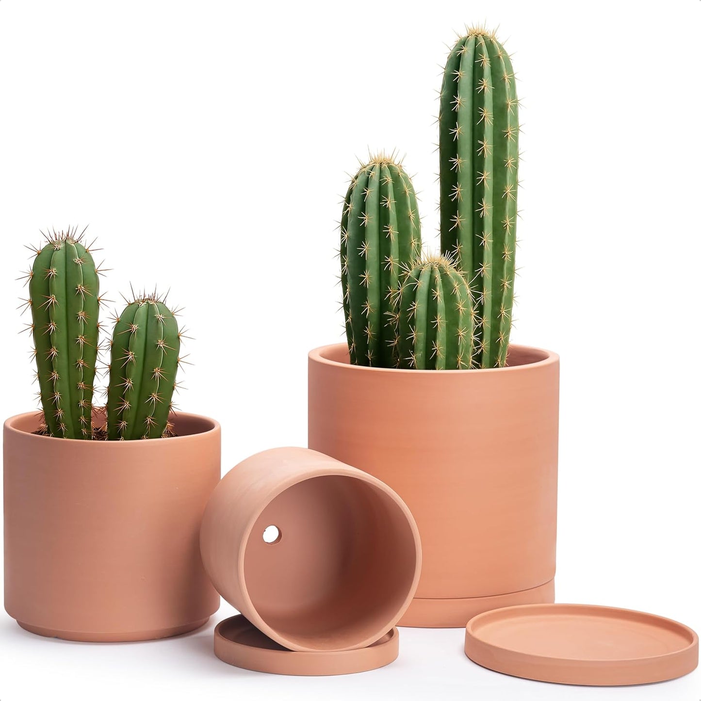 D'vine Dev Terracotta Pots for Plants - Elegant Round Planters