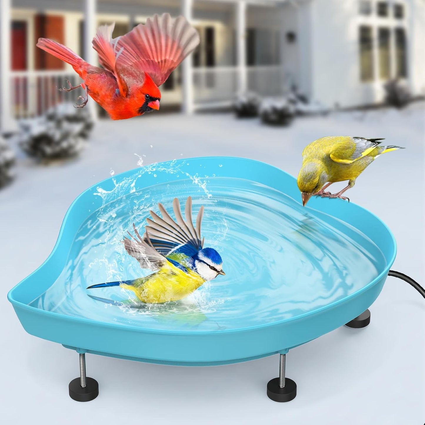 Heated Bird Baths for Outdoors - 60W Thermostatic Control