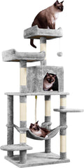 59 in Multi-Level Cat Tree Tower Condo - Spacious Activity Center