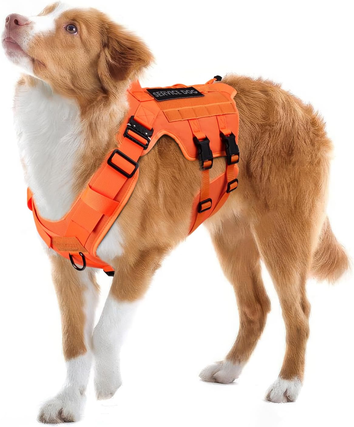 Tactical Dog Harness for Large Breeds - Perfect Fit & Durable