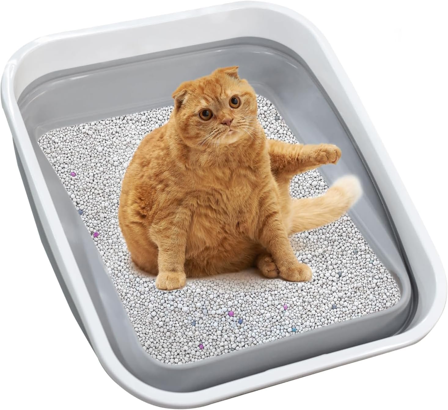 Large Cat Litter Box for Kittens and Senior Cats, Foldable