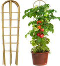 3 Pack 4 ft U-Shape Bamboo Trellis - Natural Support for Climbers