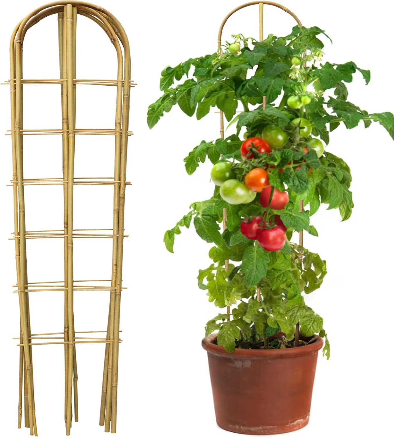 Natural Bamboo U-Shape Trellis for Climbing Plants - 3 Pack