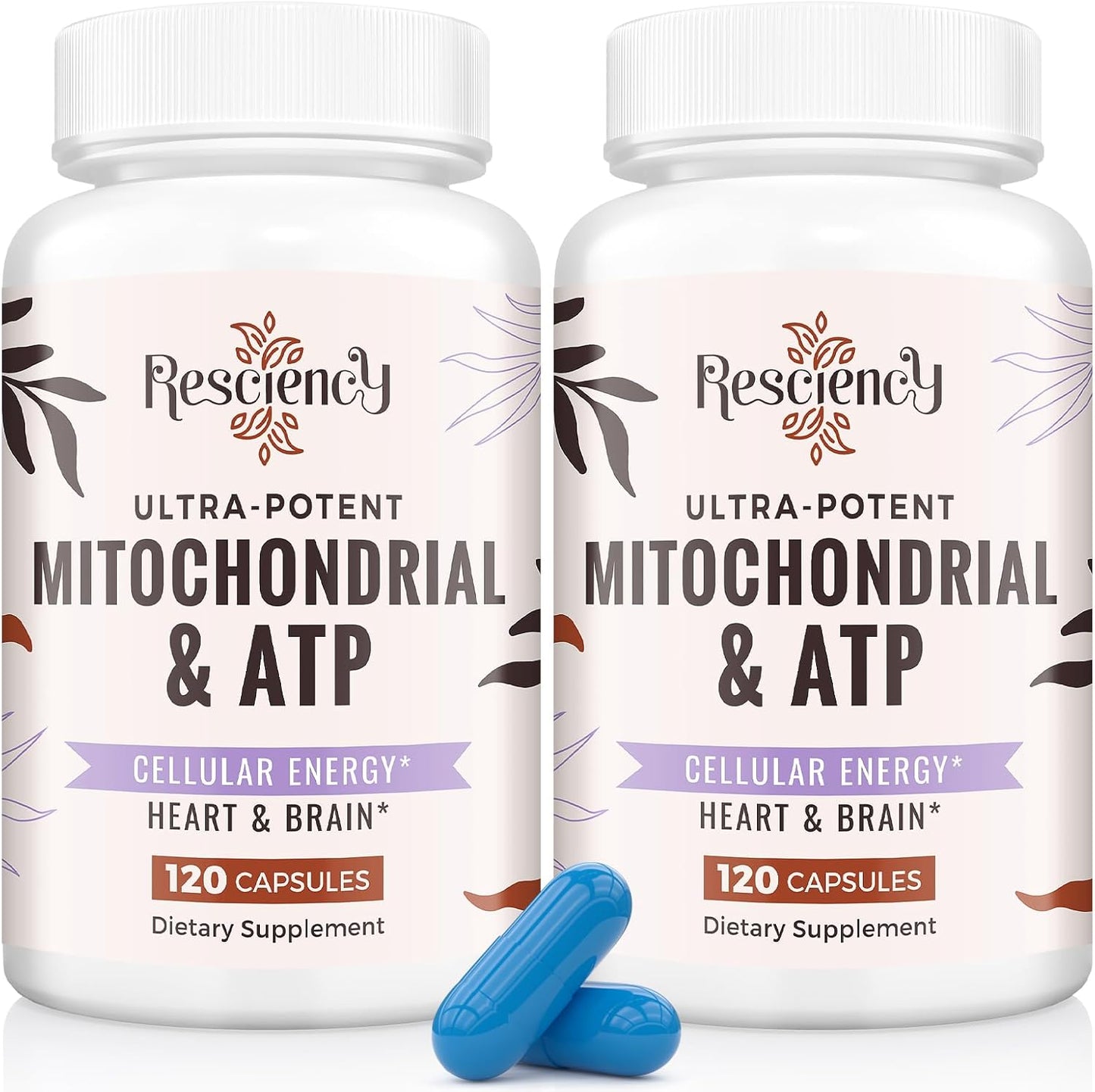 2326 MG Mitochondrial Supplements for Energy & Muscle Support