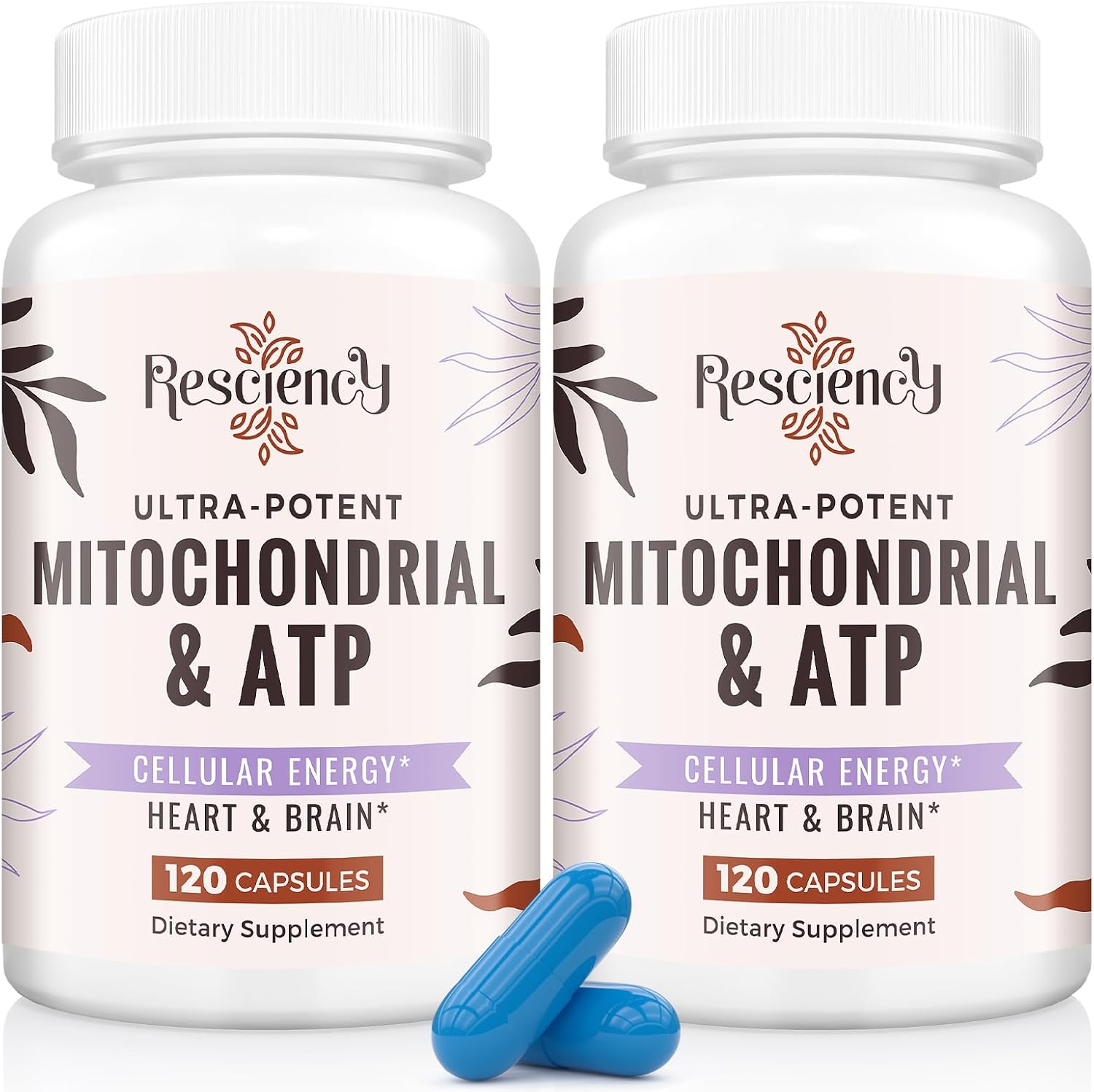 2326 MG Mitochondrial Supplements for Energy & Muscle Support