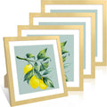 12x12 Picture Frame Set of 4 - Wood Frames with Real Glass and Mat