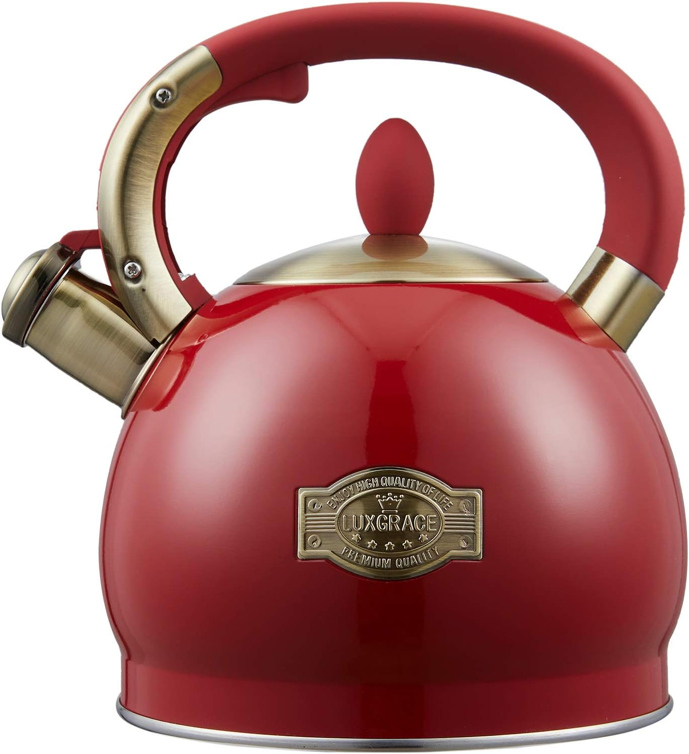 Stainless Steel 2.8 Quart Tea Kettle with Whistling Feature