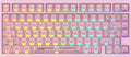 IROK MG75PRO 81 Keys Wired Magnetic Switch Mechanical Keyboard, Hall