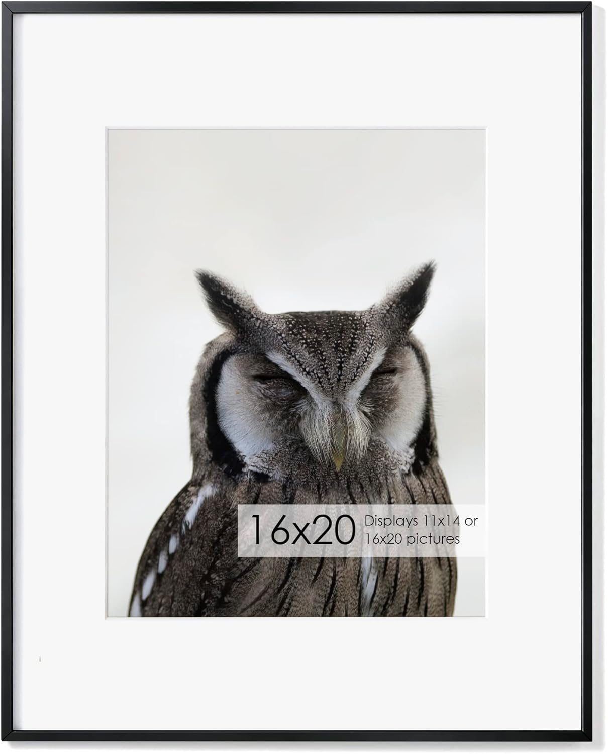 16x20 Metal Picture Frame with Mat, Modern Brushed Aluminum