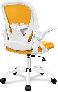 Primy Ergonomic Office Chair with Adjustable Lumbar Support