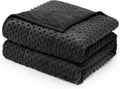 Wemore Minky Dot Weighted Blanket for Adults Twin Size 15 lb