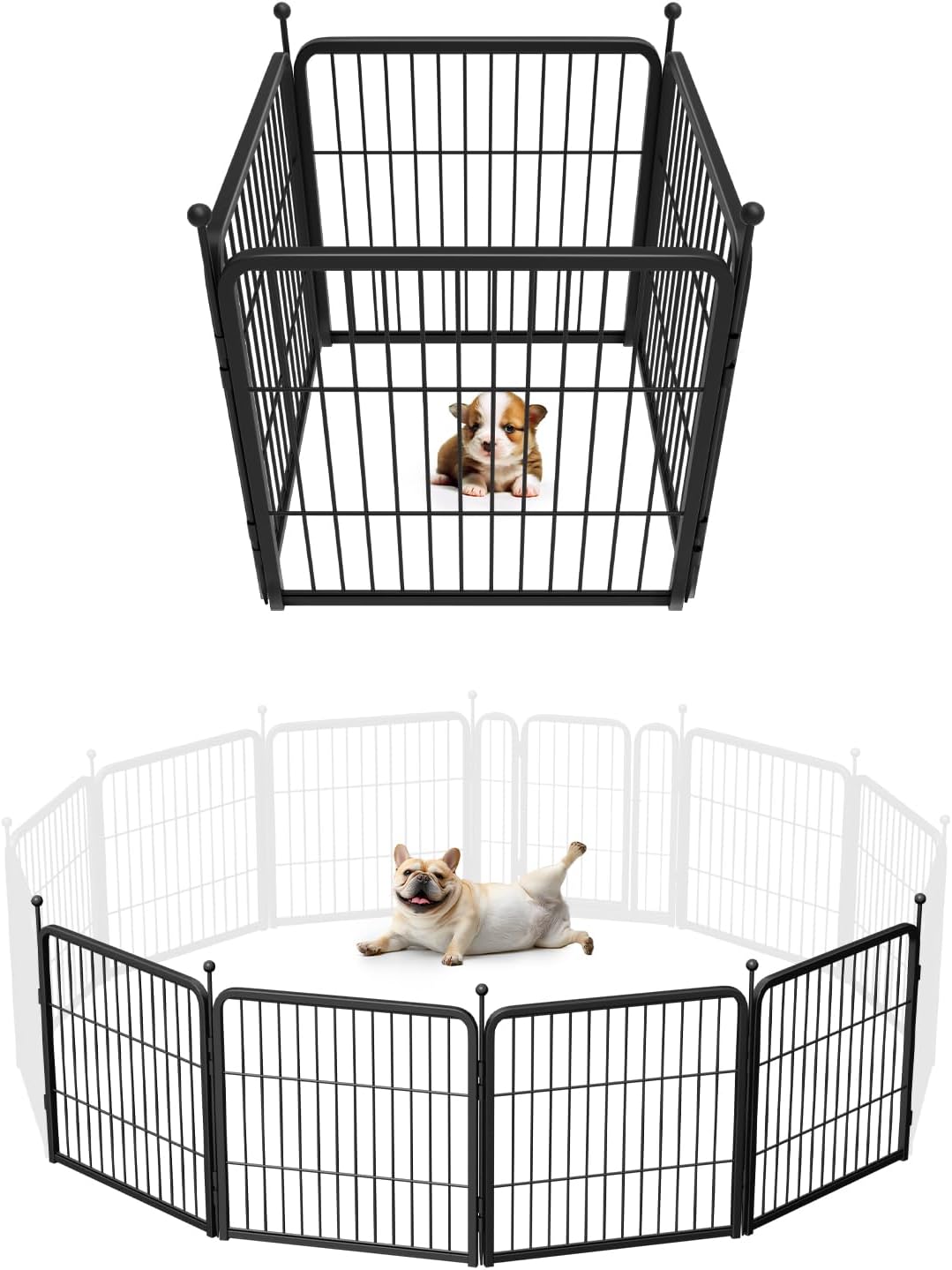 FXW Rollick Unleashed Dog Playpen for Indoor and Outdoor Use