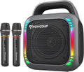 Karaoke Portable Systems PA Speaker with Dual Wireless Mics - Party