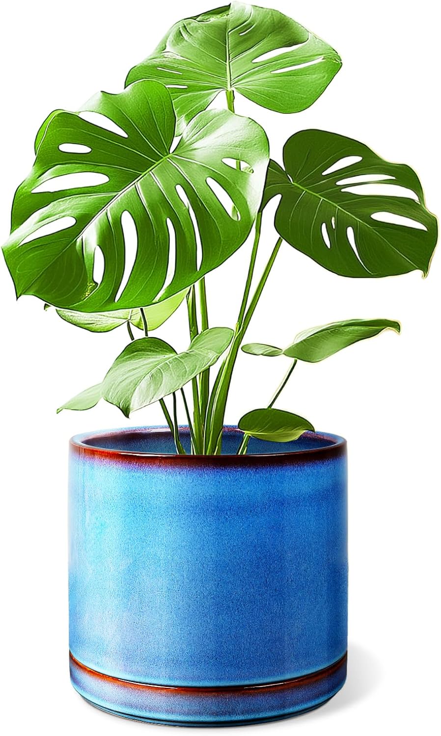 10 Inch Ceramic Plant Pot with Drainage Hole for Indoor Use