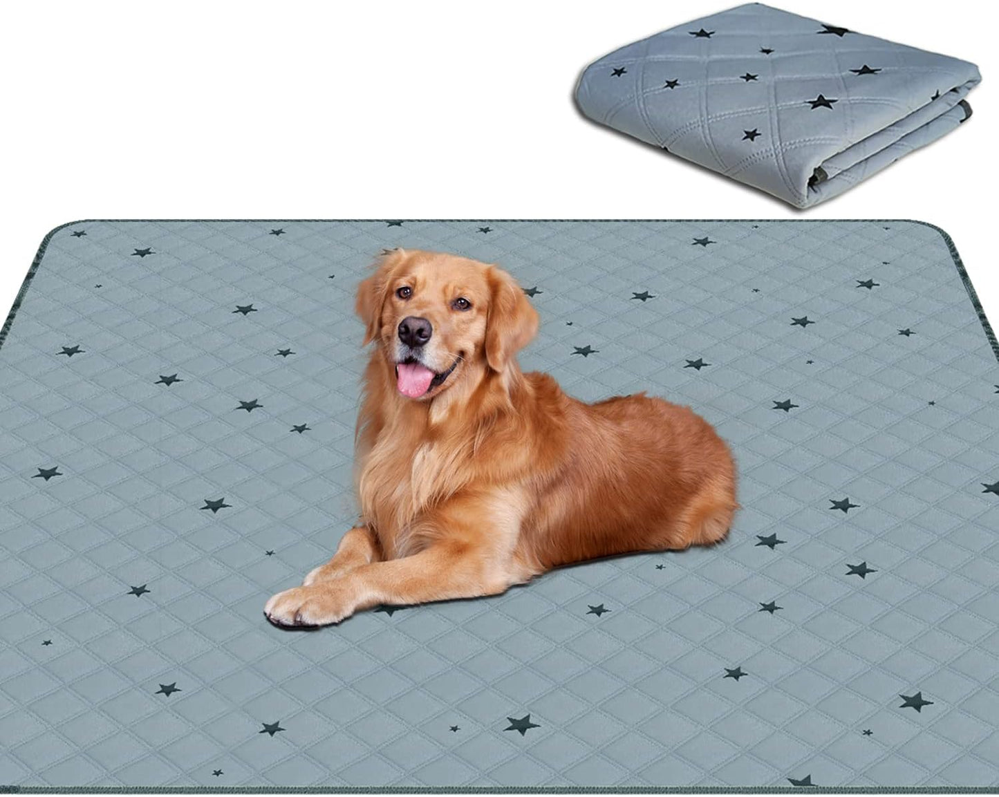 RIOUSSI Washable Pee Pads for Dogs - Absorbent & Leakproof