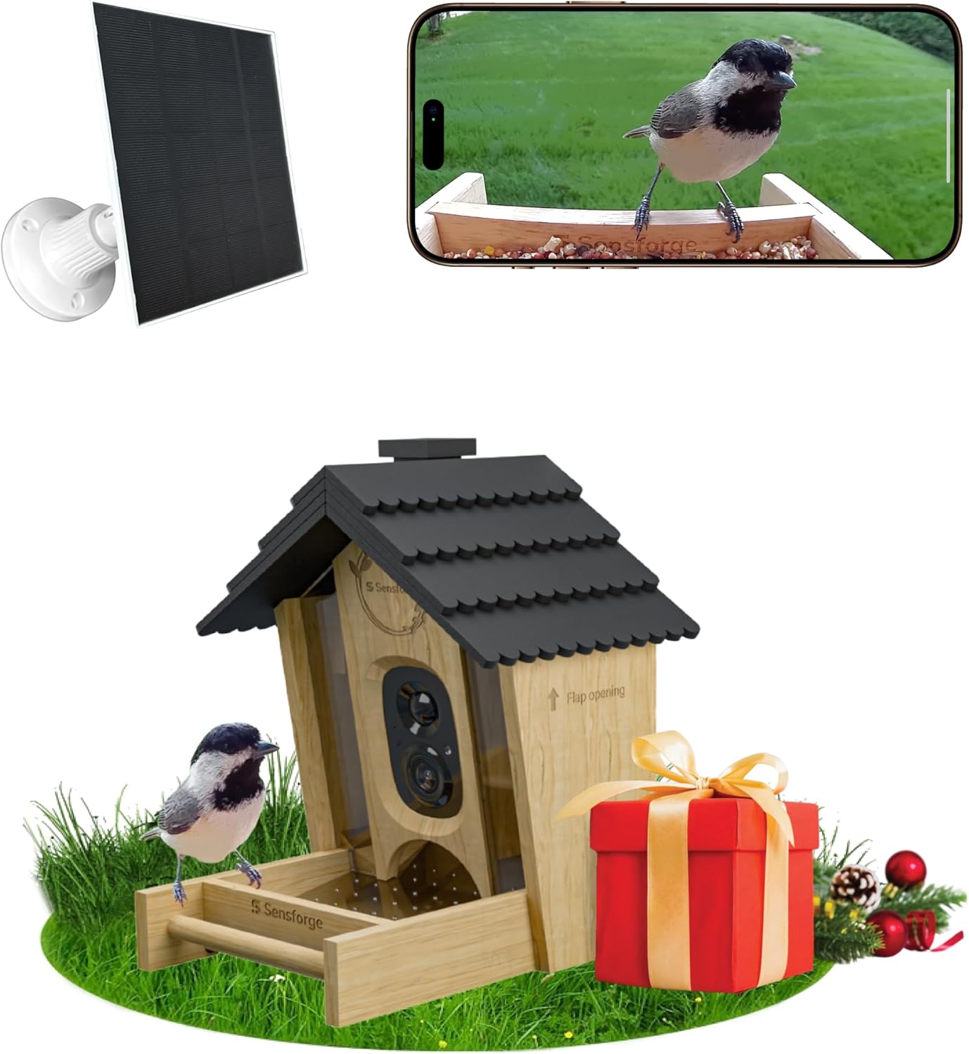 Smart AI Bird Feeder Camera with 2.5K HD Live View and Solar Power