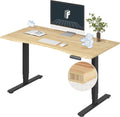 FLEXISPOT E6 Essential Bamboo 55x28 Electric Height Adjustable Desk