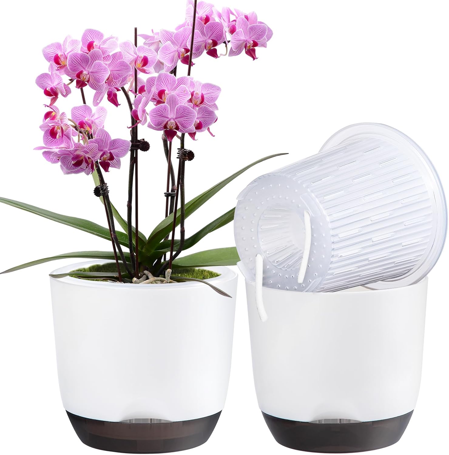 QCQHDU 2 Pack Orchid Pots for Repotting with Self Watering