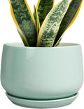 7 Inch Ceramic Plant Pots for Indoor Outdoor Plants - Modern Decor