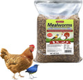 Organic Dried Mealworms for Chickens 5 LB - High Protein Feed