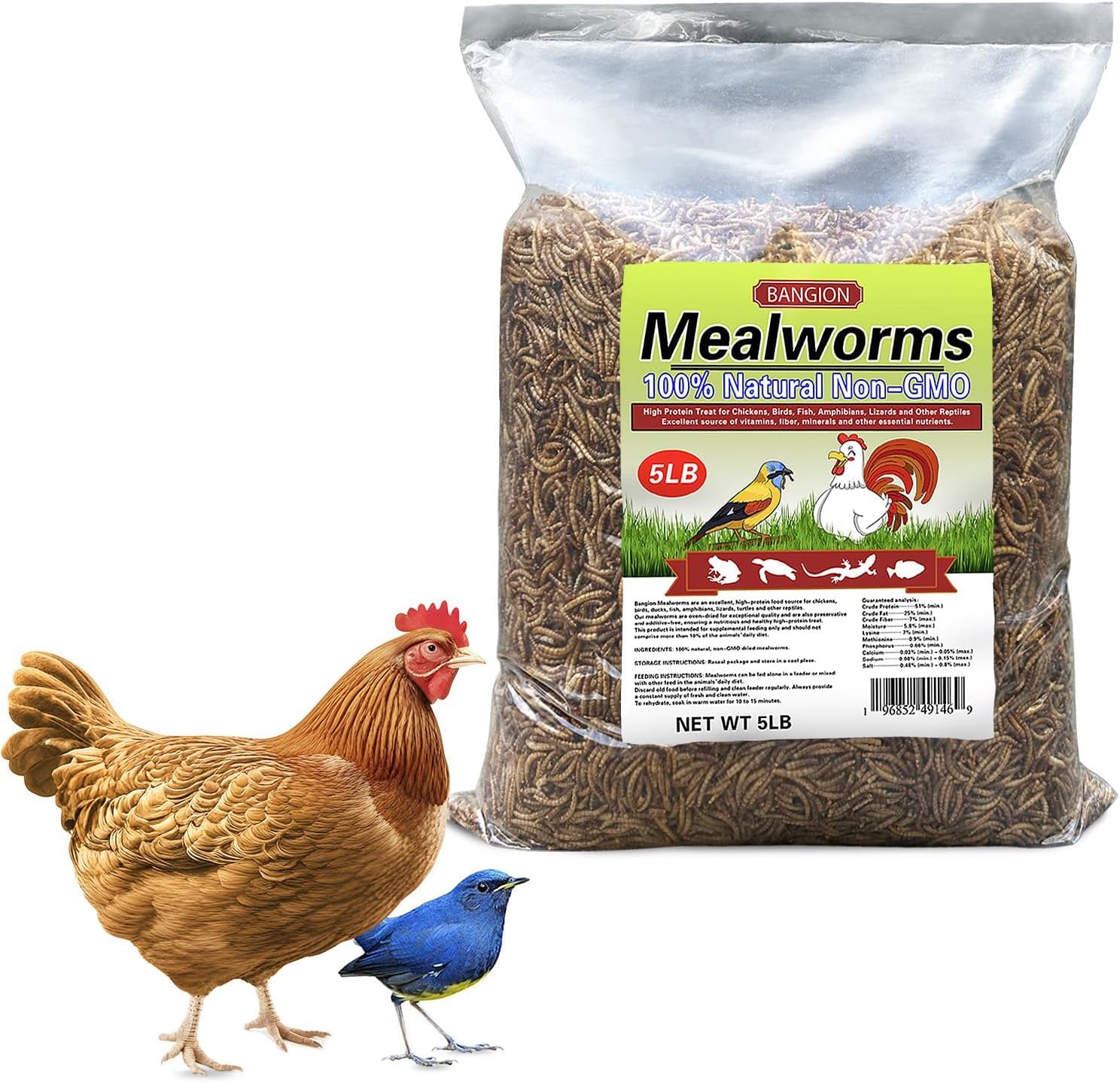 Organic Dried Mealworms for Chickens - High Protein Treats