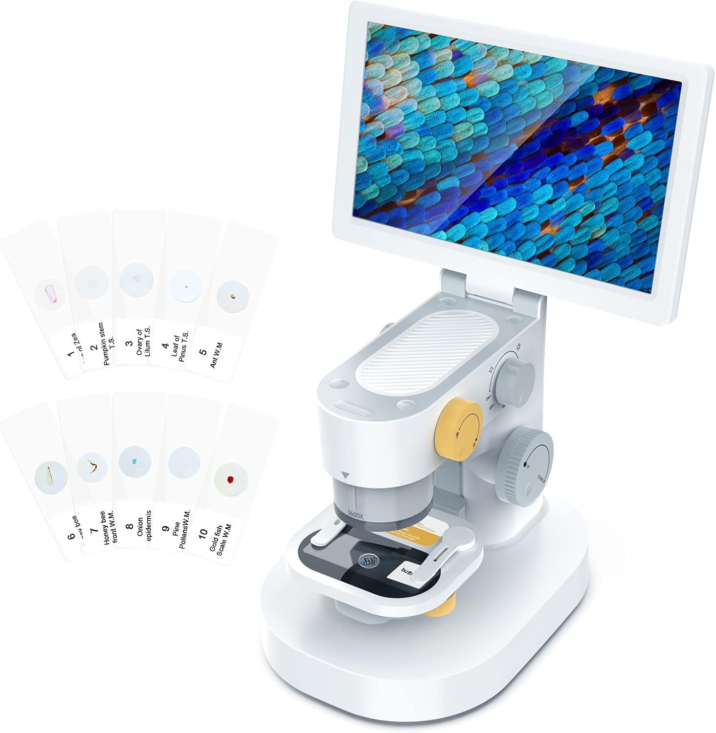T1 Biological Digital Microscope with 9 Inch Touchscreen