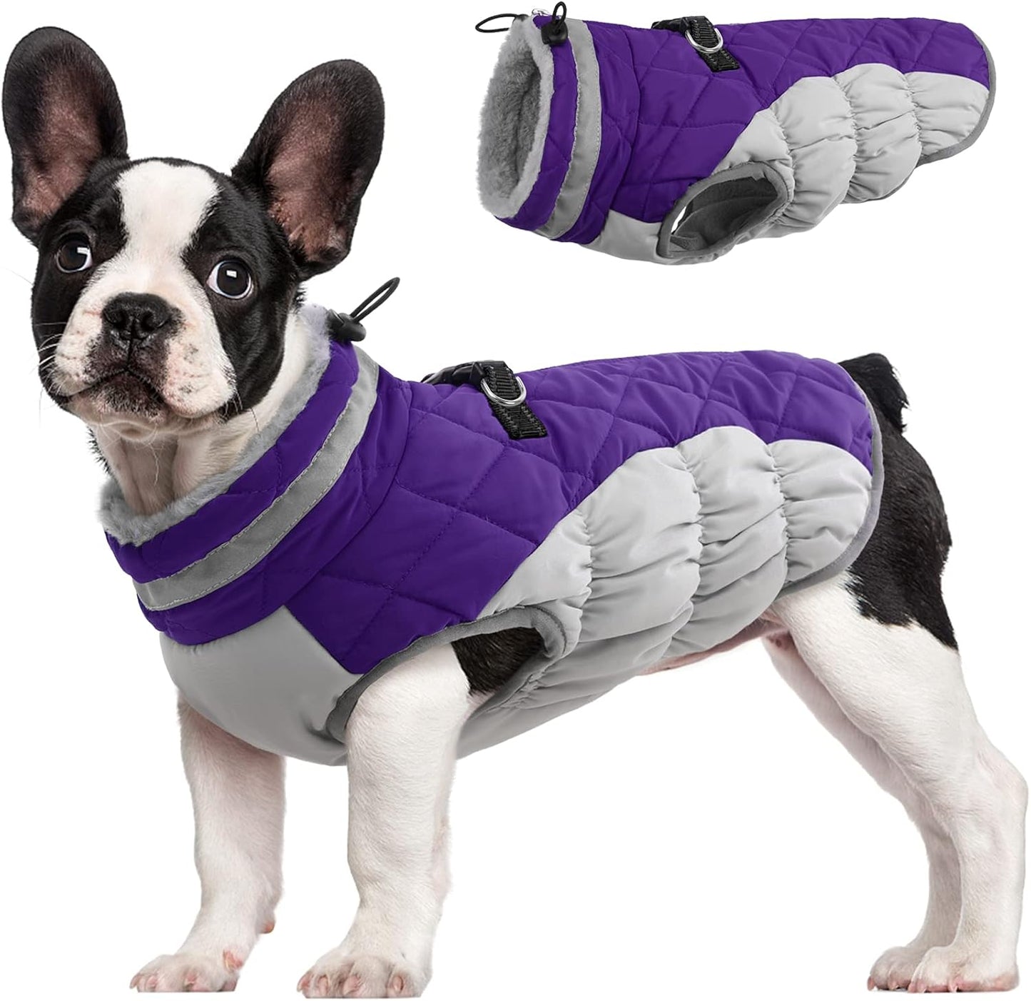 FUAMEY Dog Coat for Small Dogs - Waterproof Winter Jacket